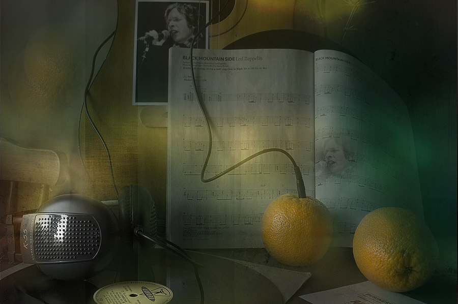 Фото жизнь (light) - olgapetrova - корневой каталог - about blues  о блюзе