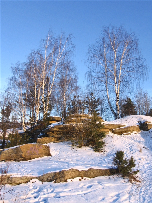 Фото жизнь