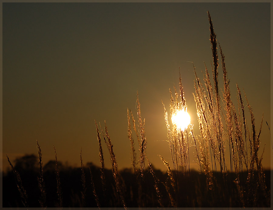 Фото жизнь (light) - Pastor - ПЕЙЗАЖИ - Закатное