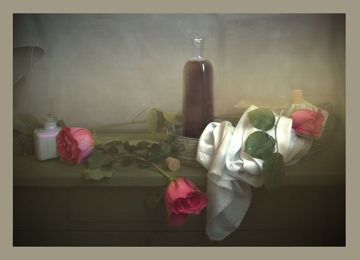 Фото жизнь - olgapetrova - корневой каталог - розы
