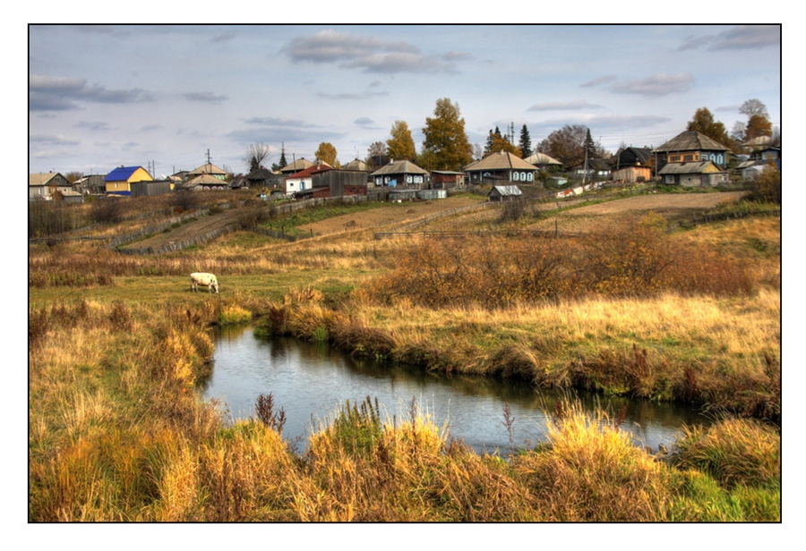 Фото жизнь