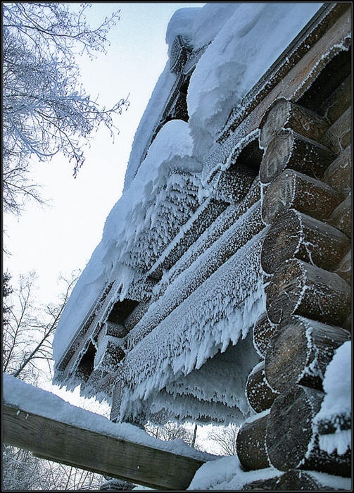 Фото жизнь