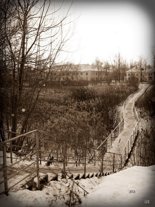 Фото жизнь