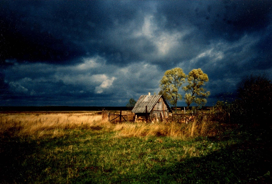 Фото жизнь