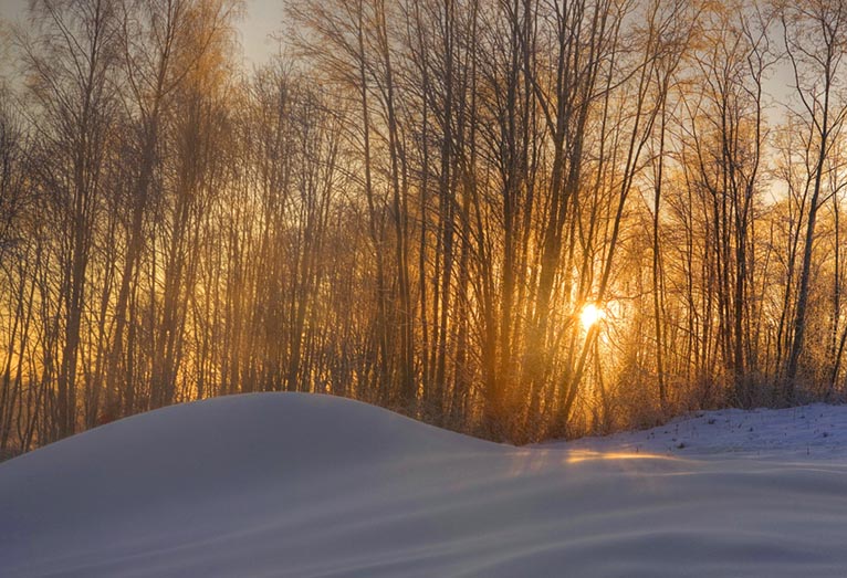Фото жизнь (light) - TAPXAHOP - Nature - Теплый снег