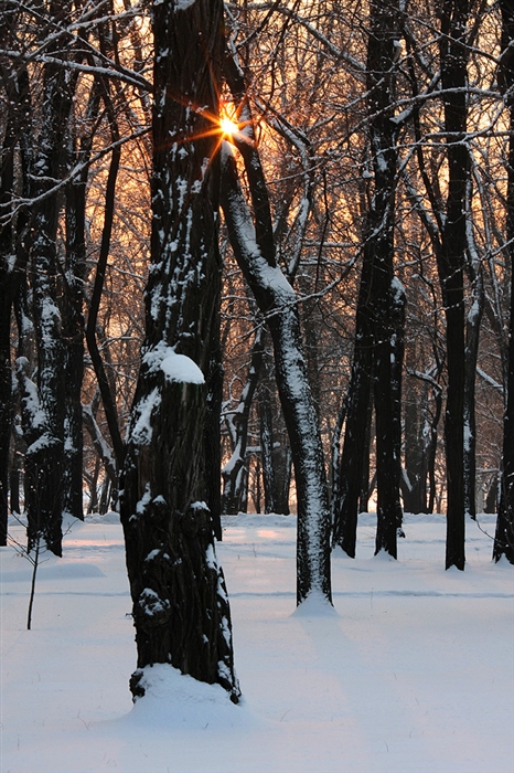 Фото жизнь