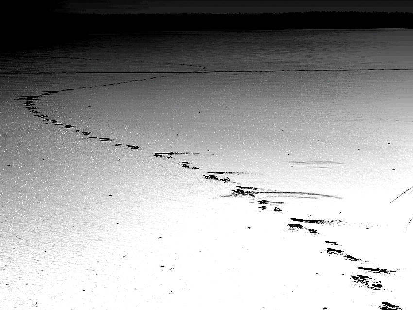 Фото жизнь (light) - Pan Waclaw - Warminsko-Mazurski Album - SnowPrinted....