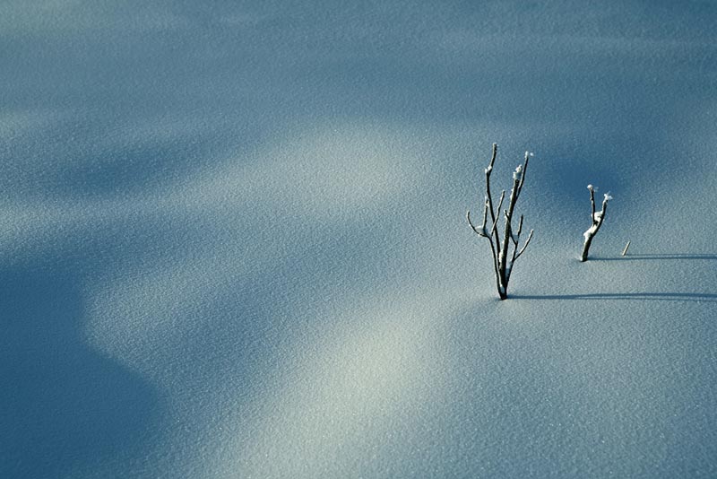 Фото жизнь (light) - TAPXAHOP - Nature - Зимняя тишина