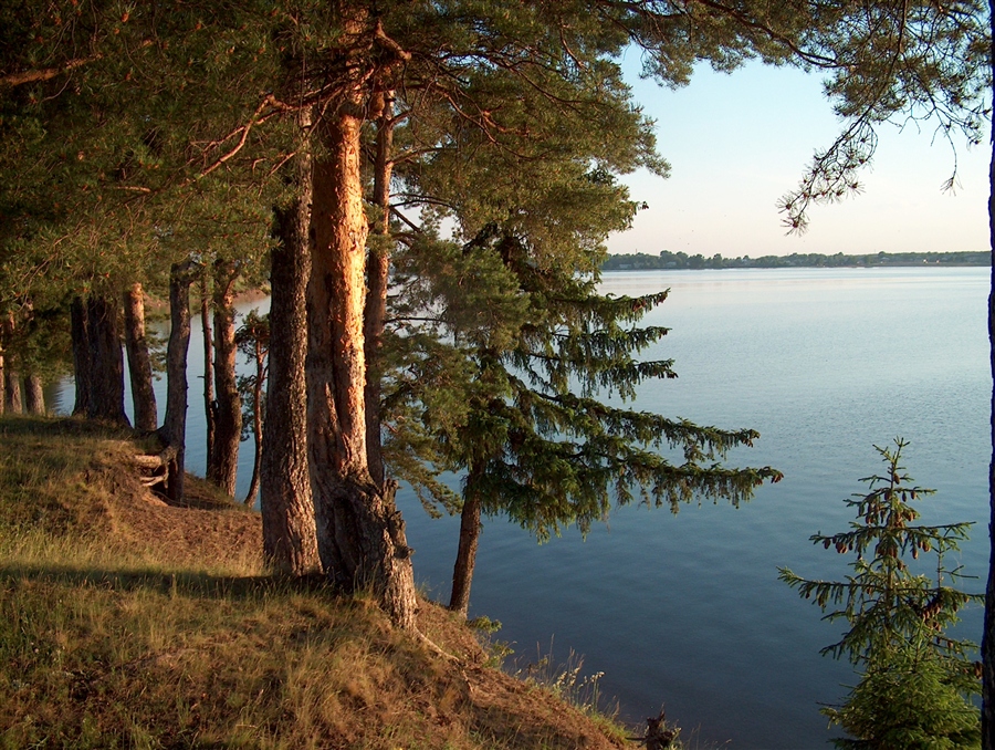 Фото жизнь