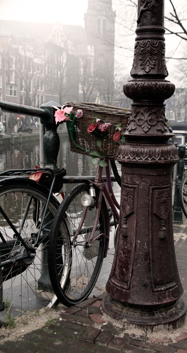 Фото жизнь (light) - Melonik - Travel - Прогулки по Амстердаму (фото 1)