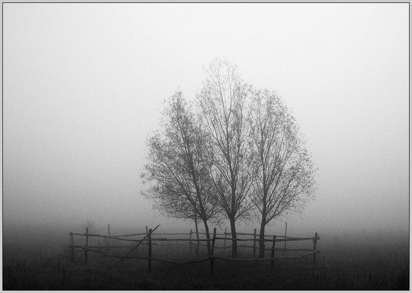 Фото жизнь (light) - Perevaruha - black & white - ***