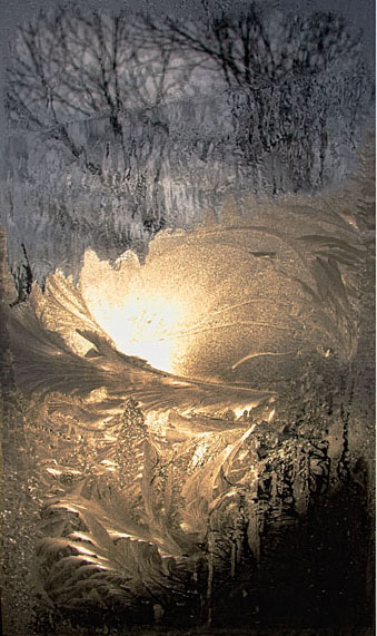 Фото жизнь (light) - Наталья Кузнецова - корневой каталог - встречая рассвет