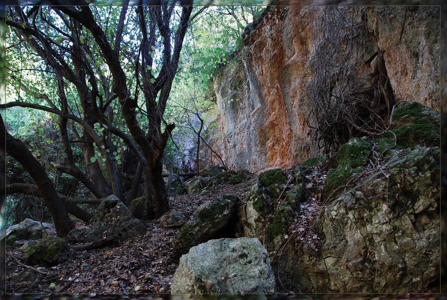 Фото жизнь - green - корневой каталог - тропинка
