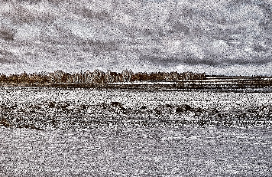 Фото жизнь