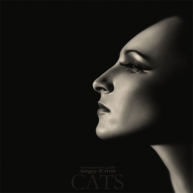 Фото жизнь (light) - Sergey P. Iron - Портреты - Cats