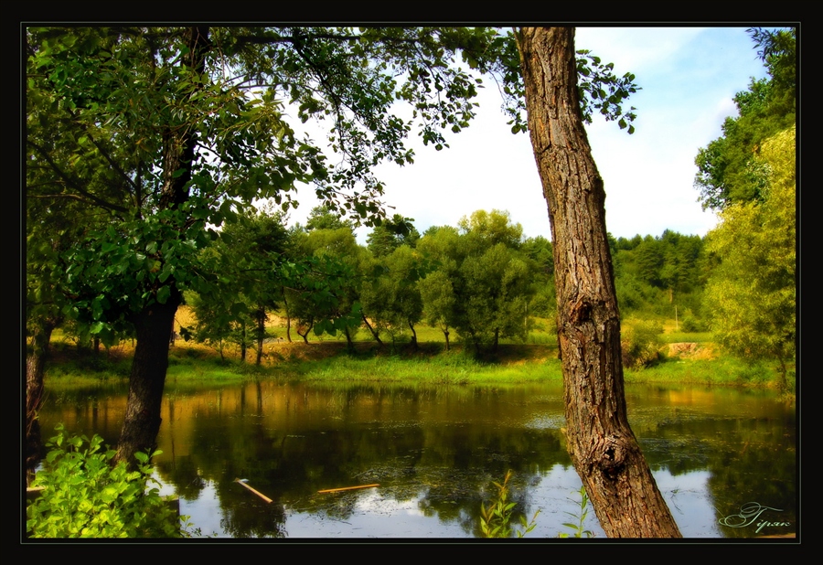 Фото жизнь