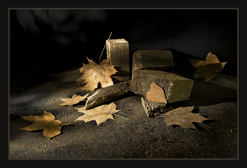 Фото жизнь (light) - eduard62 - Натюрморт. - Дрова и листья