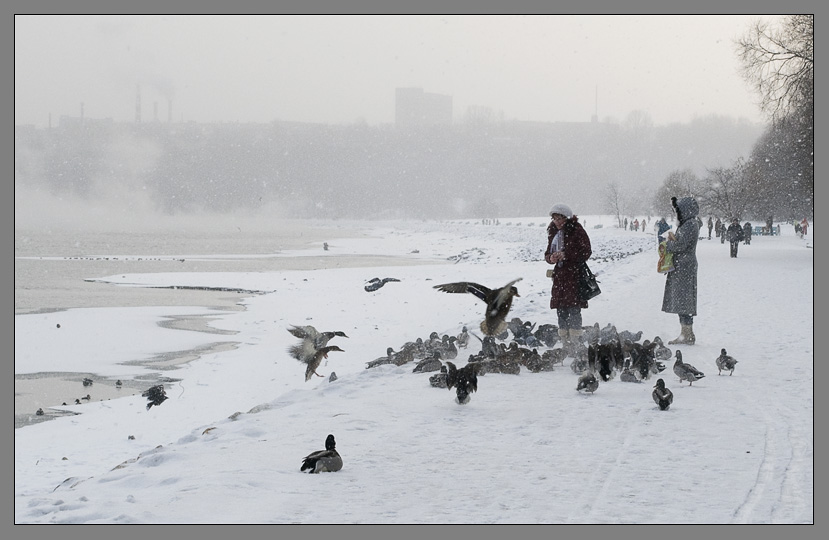 Фото жизнь