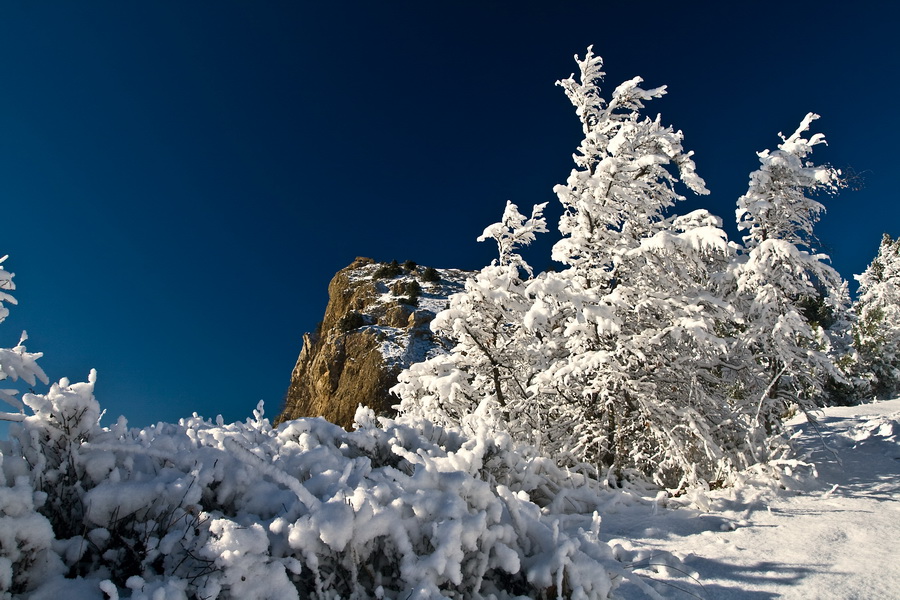 Фото жизнь (light) - balvik - корневой каталог - Снег выпал,первый:))