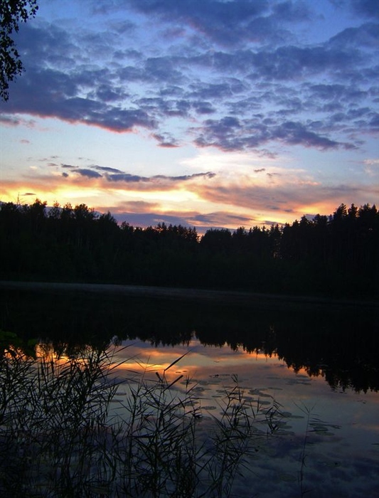 Фото жизнь