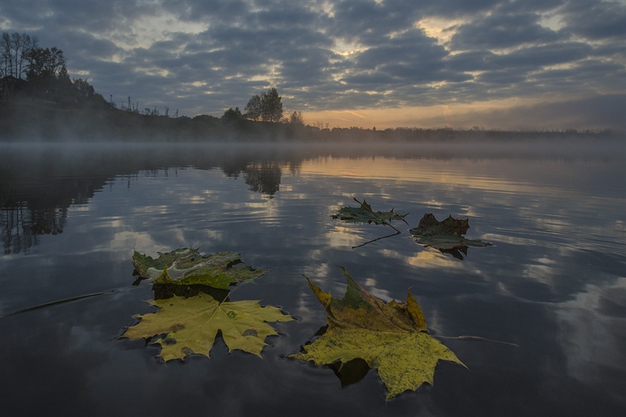 Фото жизнь