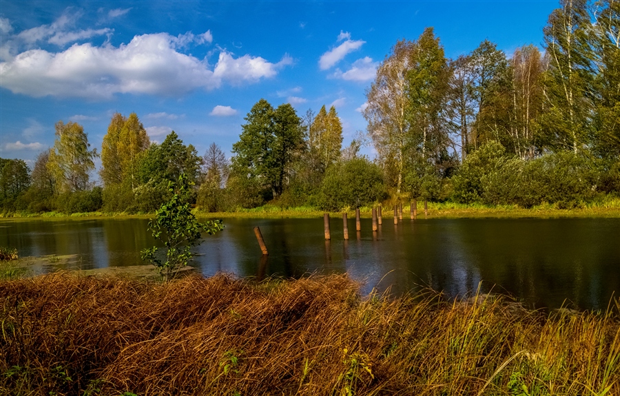 Фото жизнь