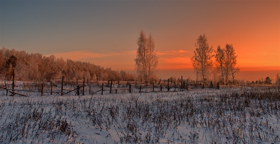 Фото жизнь