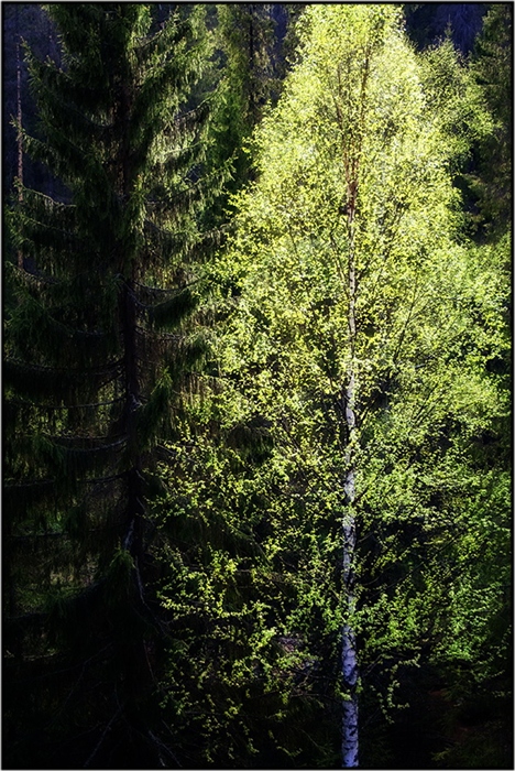 Фото жизнь
