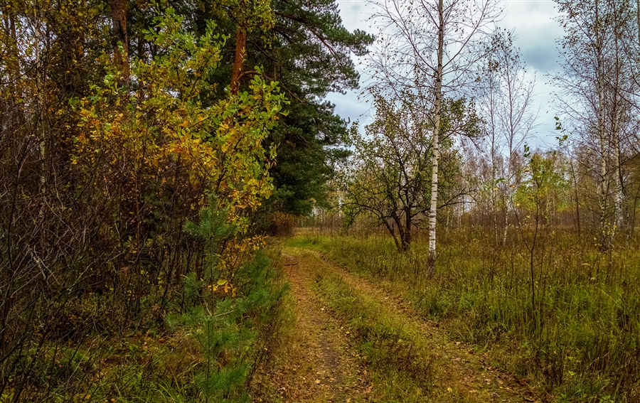 Фото жизнь