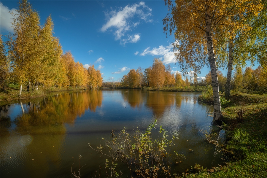 Фото жизнь
