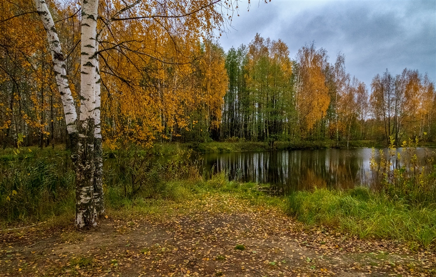 Фото жизнь