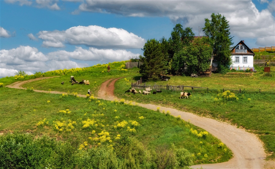Фото жизнь