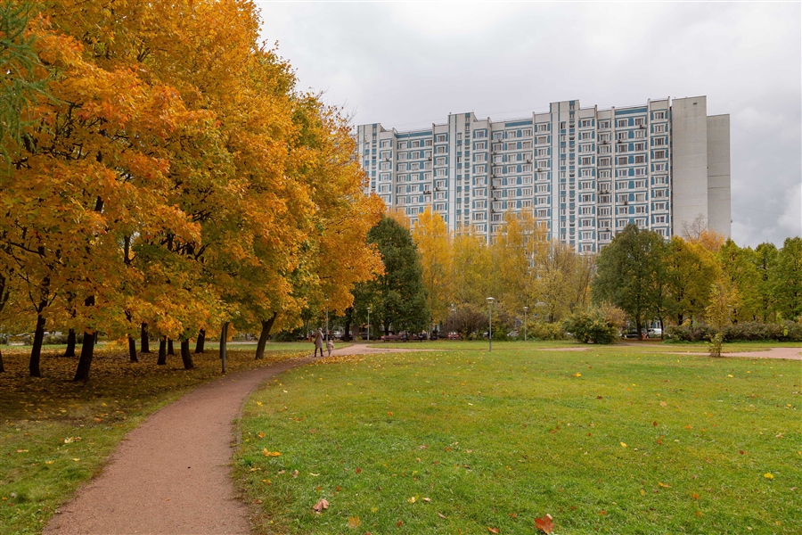 Фото жизнь