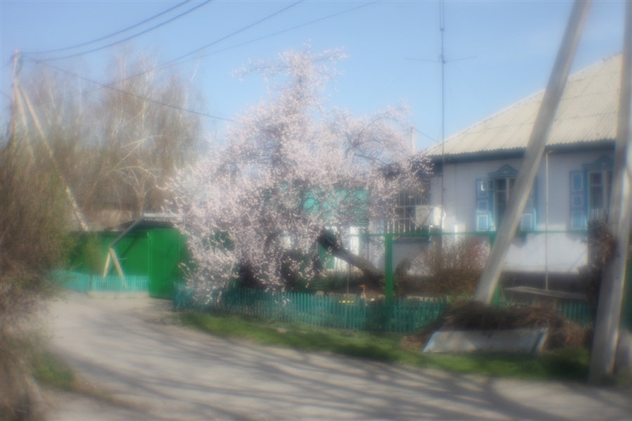 Фото жизнь