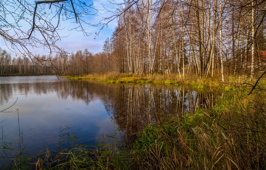 Фото жизнь