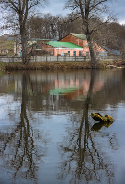 Фото жизнь