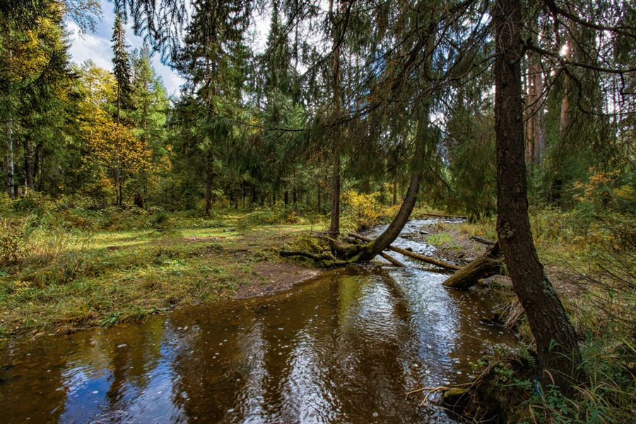 Фото жизнь