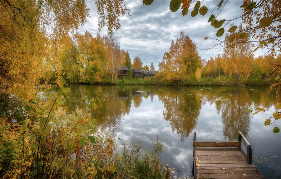 Фото жизнь