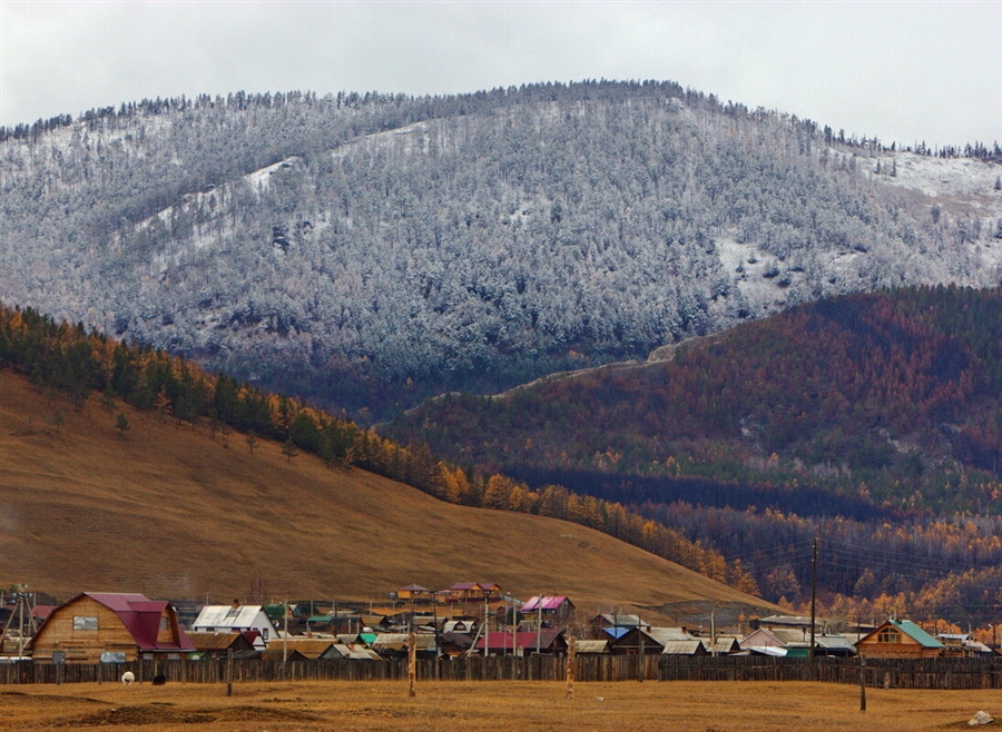 Фото жизнь