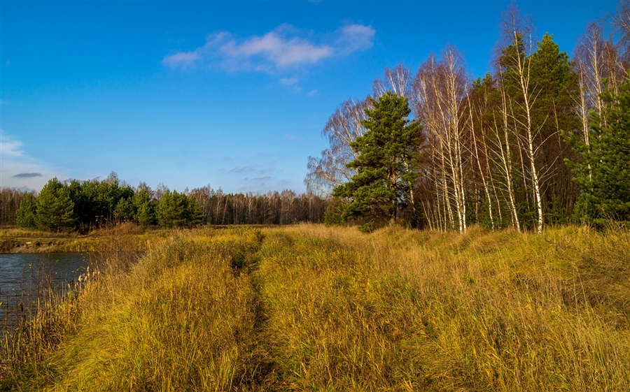 Фото жизнь