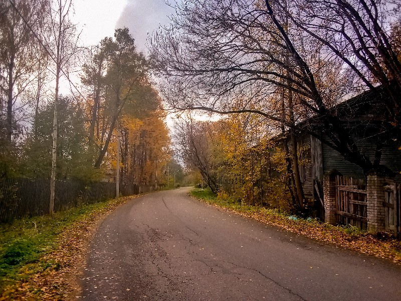 Фото жизнь