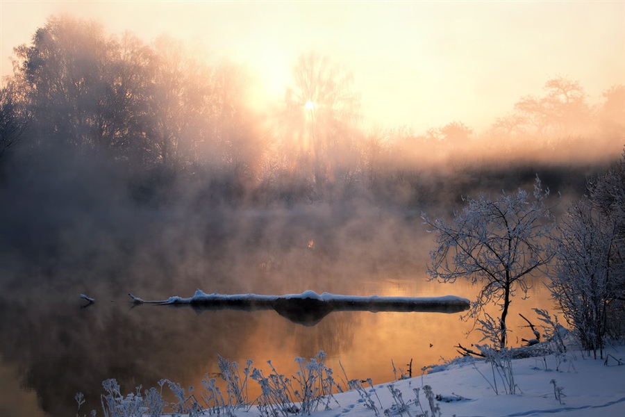 Фото жизнь