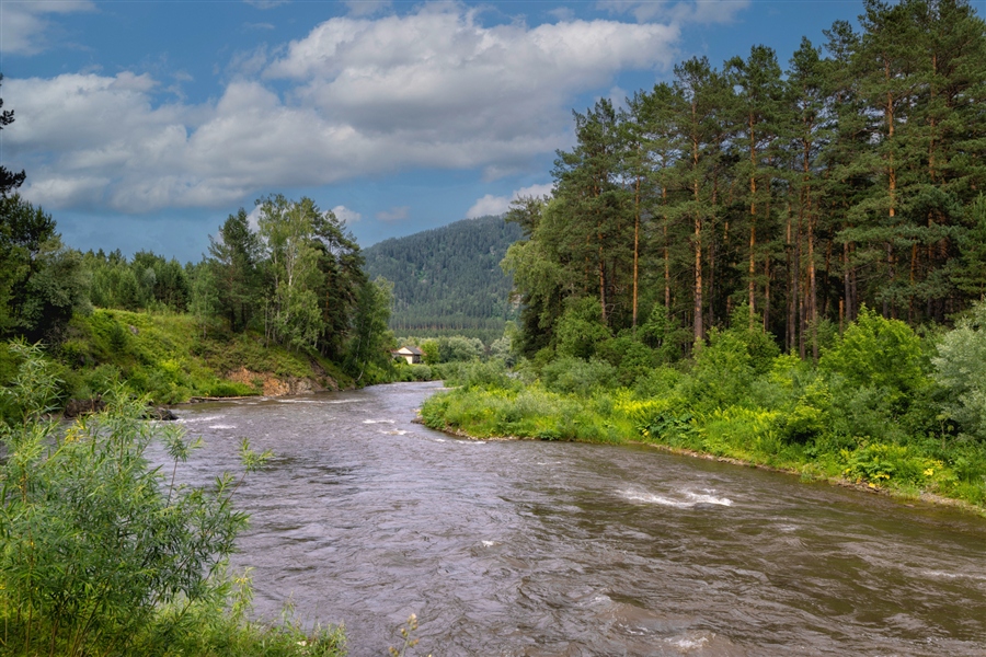 Фото жизнь