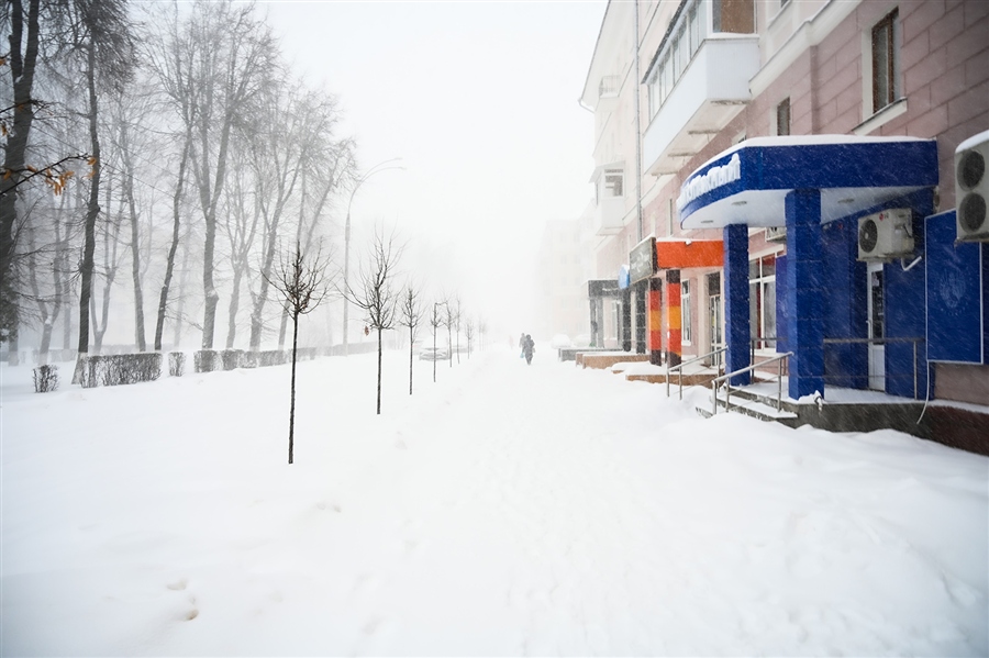 Фото жизнь