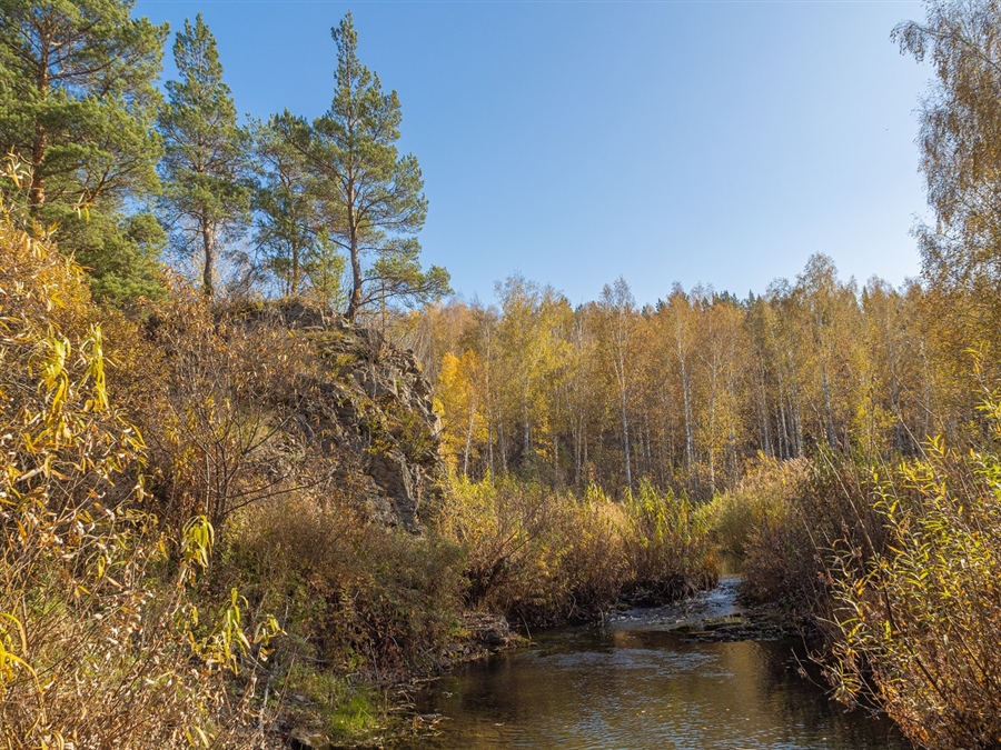 Фото жизнь