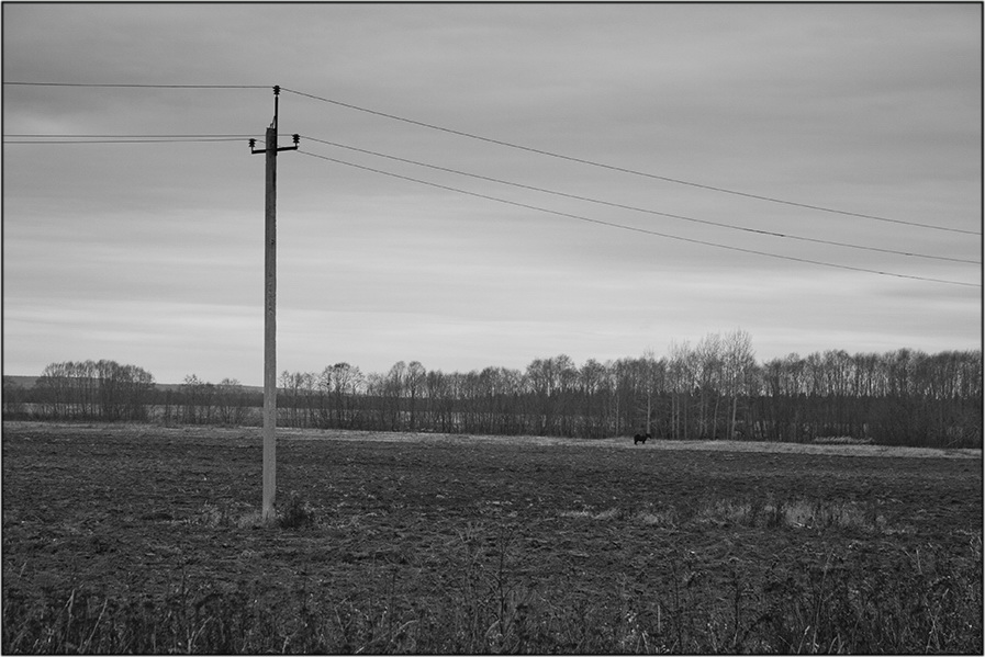 Фото жизнь (light) - Mityok59 - РОДИНА - ***