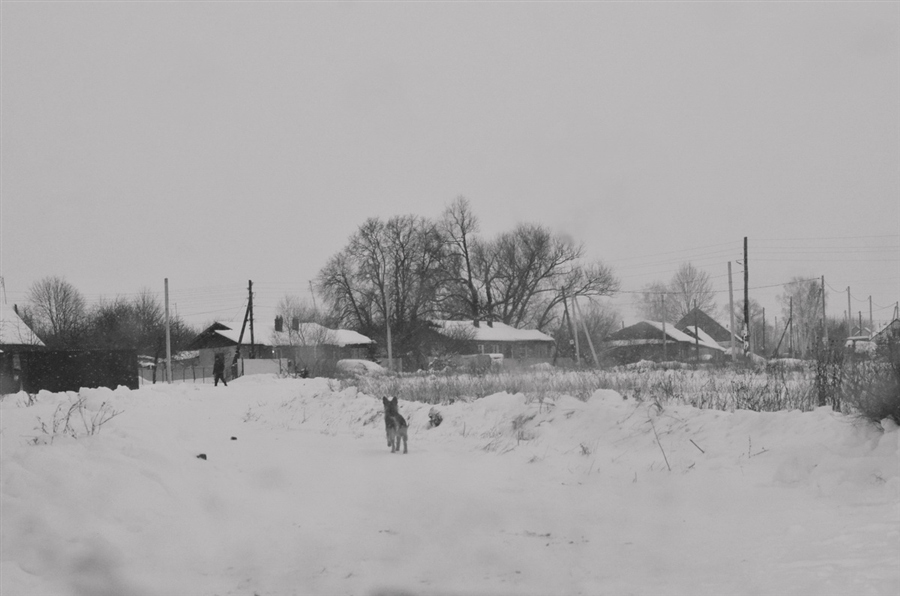 Фото жизнь