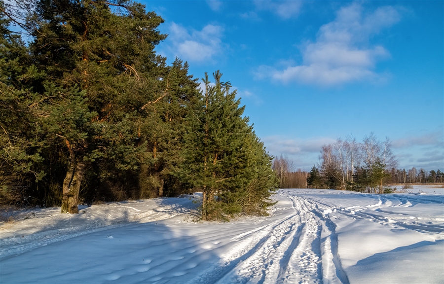 Фото жизнь