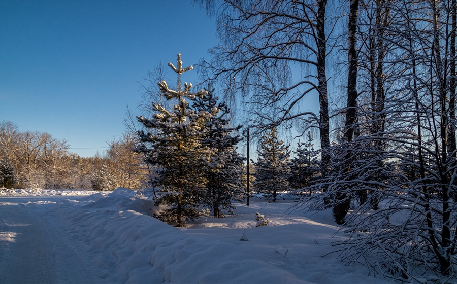 Фото жизнь