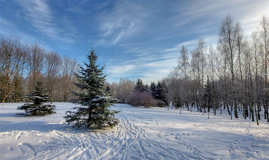 Фото жизнь